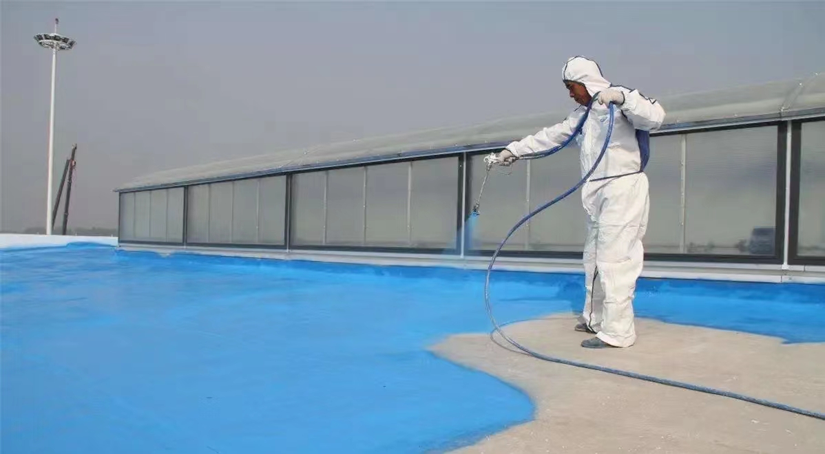 專業防水，實惠之選 深圳龍邦屋頂防水涂料廠家與公司服務解析