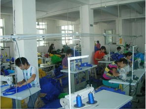 專業(yè)環(huán)保袋生產(chǎn)廠家與廣告設(shè)計(jì)服務(wù) 中山、佛山、江門、珠海一體化供應(yīng)